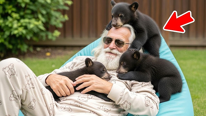 Old Man Saved 3 Bear Cubs — Years Later, You won't Believe how they Returned the Favor!