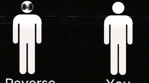 Reverse Anomaly System: Tape 1