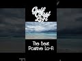 🌫️ 1 Hour Gulf Coast Lo-Fi Trance | Deep Focus & Rainy Beach Dusk Vibes