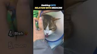 Ranking CATS RELATION WITH MEDICINE Core Moments!!💉😺