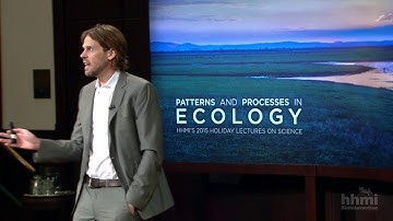 HHMI Niche Partitioning Clip