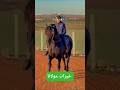 ШґШ Ш Щ ЩЉШіШЄЩ Щ вќ пёЏ Ш Щ Щ ШєШ ШЁ Horse ШґШ Ш Щ ЩЉШіШЄЩ Щ вќ пёЏ Ш Щ Щ ШєШ ШЁ Horse