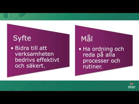 Video: Varför är intern kontroll viktig i redovisningen?