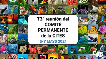 73ª reunión del Comité Permanente de la CITES: 2ª sesión (6 de mayo)