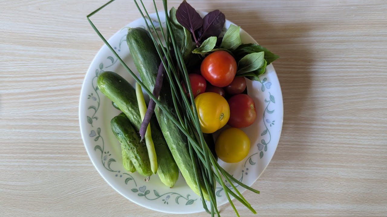 Немного об огороде и себе