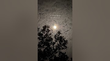 الله نور السماوات والارض تلاوة القارئ شريف مصطفى.