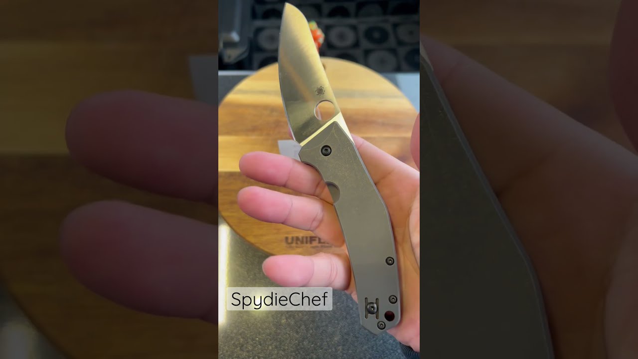 スパイダルコ SPYDERCO フォールディング ナイフ AUS-8