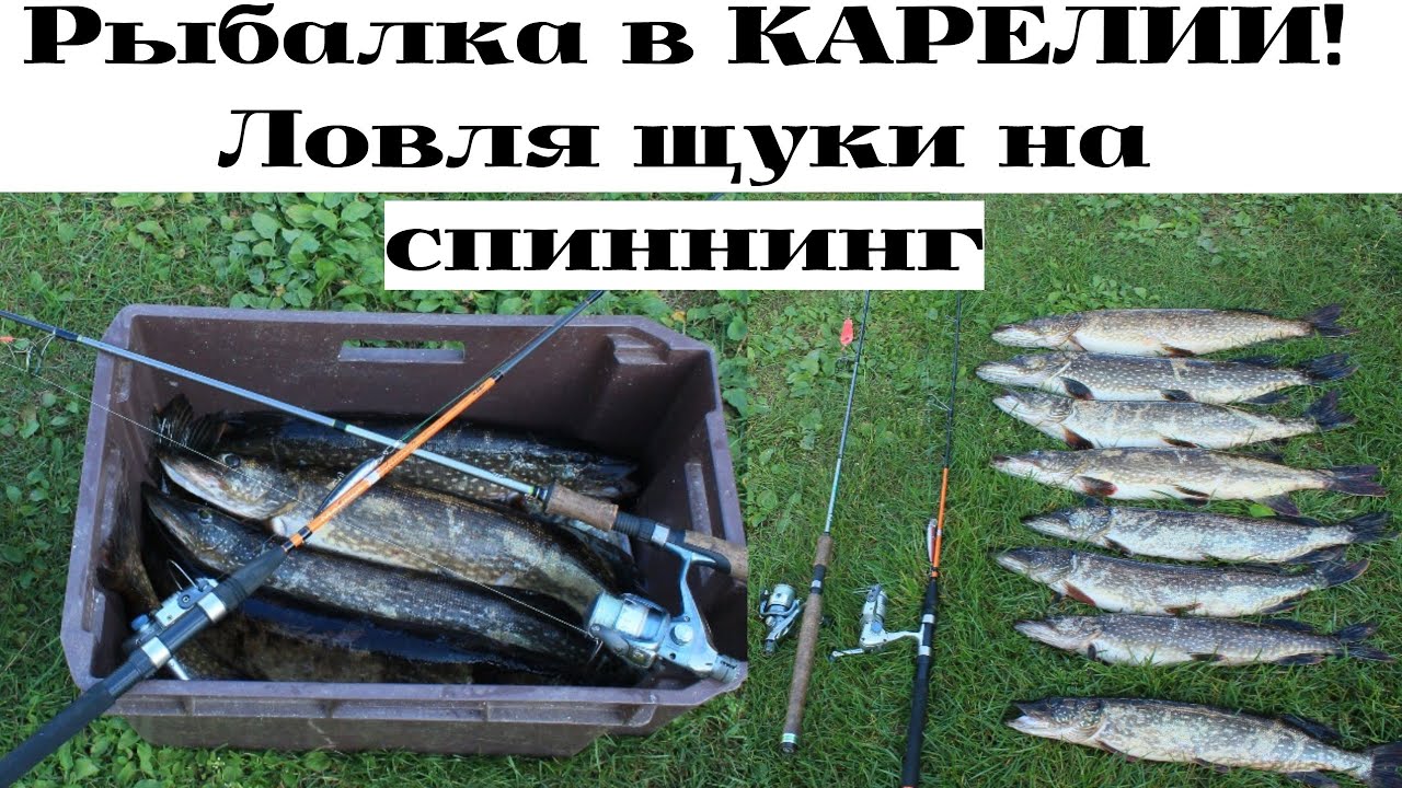 РЫБАЛКА в КАРЕЛИИ /ловля ЩУКИ  на спиннинг/СЕКРЕТНОЕ МЕСТО