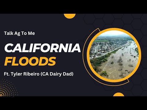 California Floods Talk Ag To Me Ft Tyler Ribeiro CA Dairy Dad