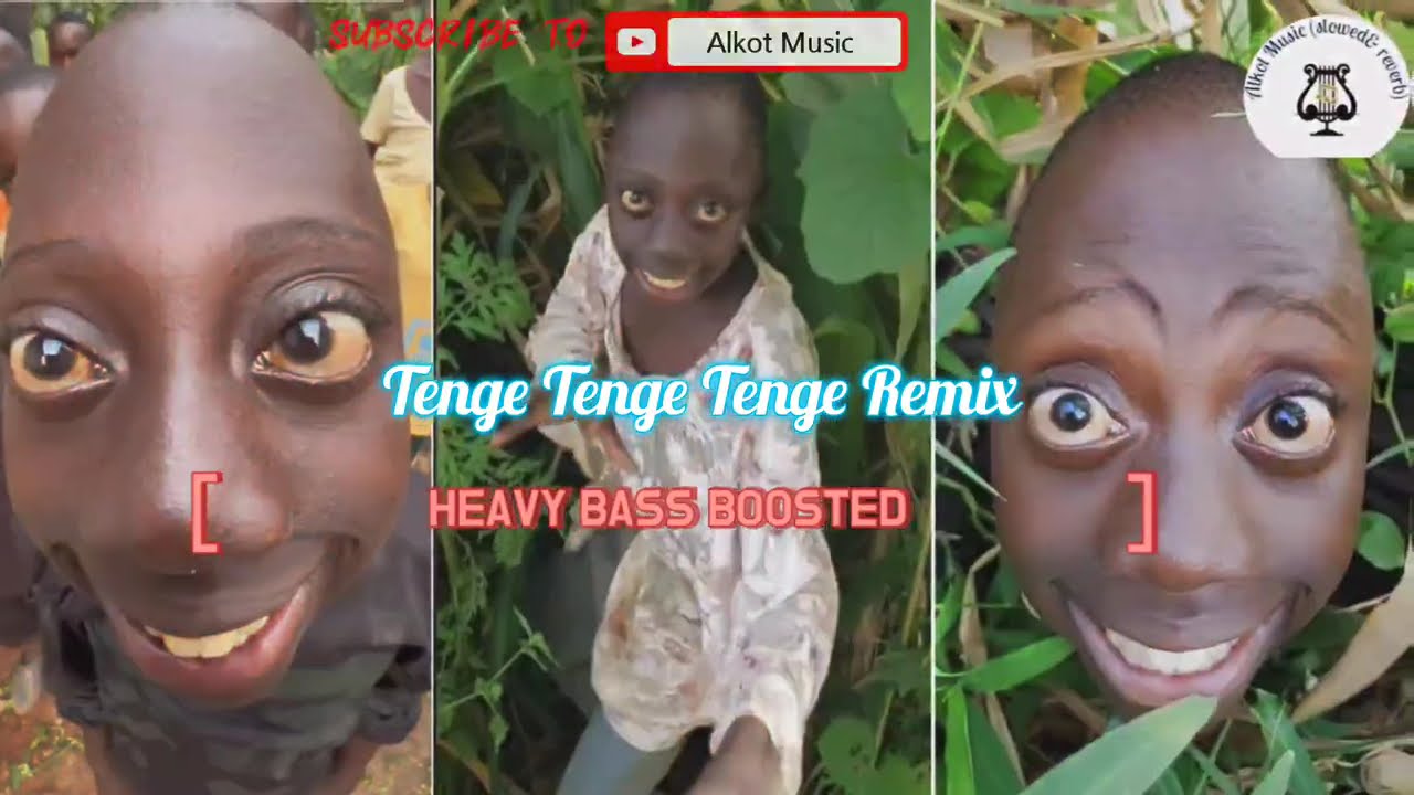 Tange Tenge Tenge | New Dj Song 2024 | टंगे टंगे डीजे सॉन्ग | (Extreme Bass Boosted )|| Alkot Music