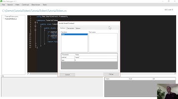 NEP-5 (V2) Token Part 1 - Intro to NEP-5