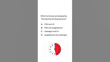 IGCSE Biologie 0610 Paper 2 Examenvoorbereiding