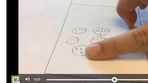 Brightspace Portfolio Using a Chromebook