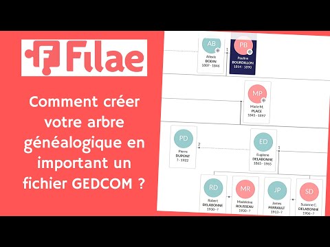 Filae : Comment créer votre arbre généalogique en important un fichier GEDCOM ?