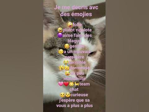 je me décris avec des emojie - YouTube