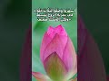إنها آية من إنجيل متى كلمة اليوم#كلمة #محبة #الله #إيمان
