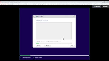 Bind ( Huawei OceanStor ) SCSI Hard Disk (Windows 10) In FusionCompute VM Using Tools