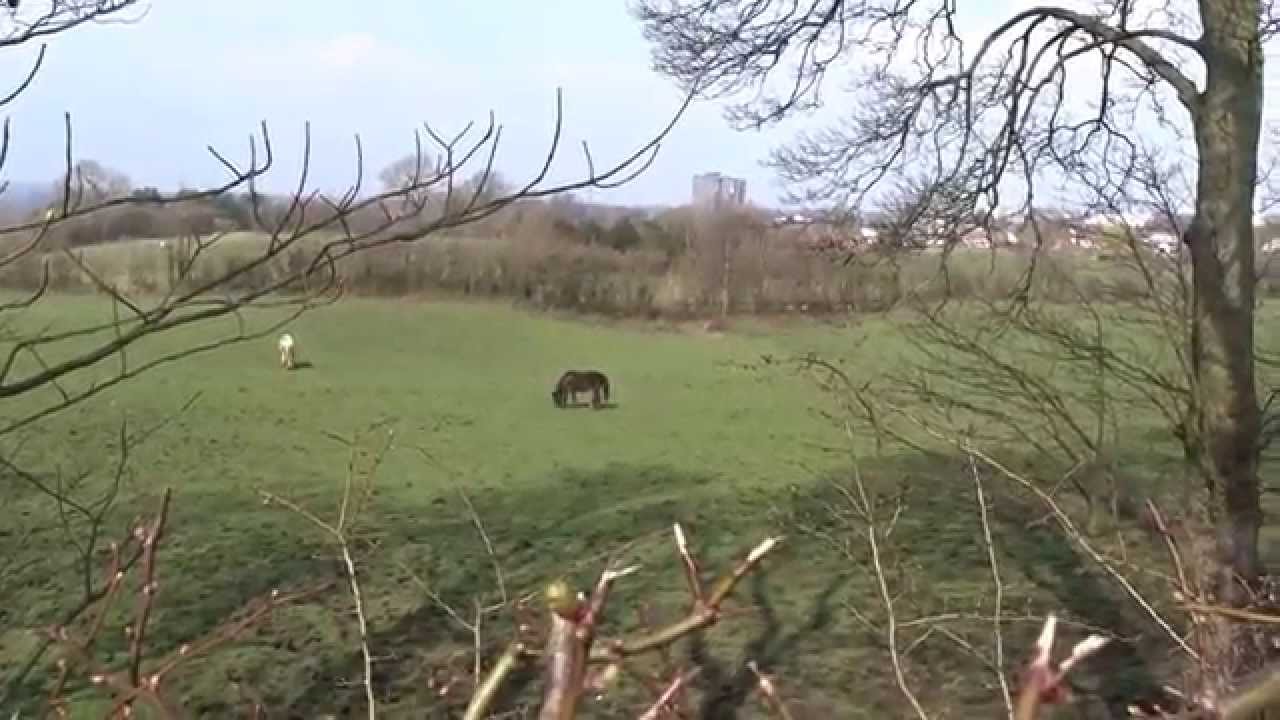 Sony Cyber-shot DSC-HX400V - Zoom Test - YouTube