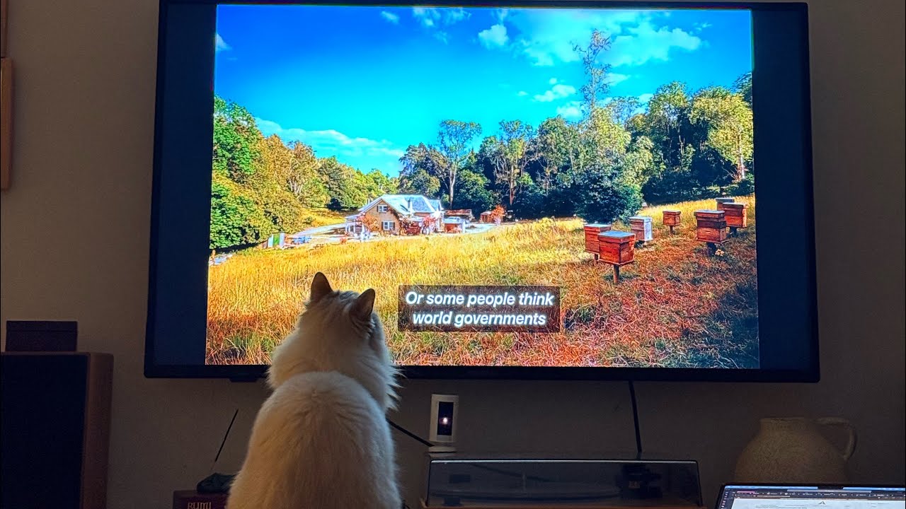 Letterboxd January 2026 Reviews ASMR