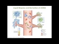 Utilization of NGS to Identify Mutations in cfDNA: Meet the NGS Experts Series Part 3