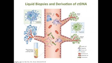 Utilization of NGS to Identify Mutations in cfDNA: Meet the NGS Experts Series Part 3