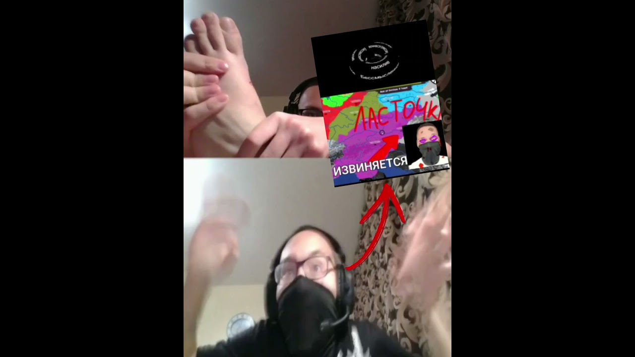 извинения перед ласточки 