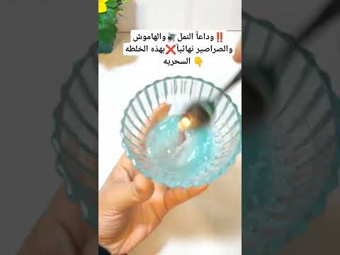 وداعا النمل والهاموش والصراصير نهائيا بهذه الخلطه السحريه اكسبلور Shorts