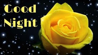 Rose video - good night status video - WhatsApp status video HD - remix music HD