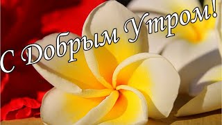 С Добрым Утром !🌼Желаю Самого Доброго Солнечного Утра!🌼  Шикарная Музыкальная Открытка 🌼