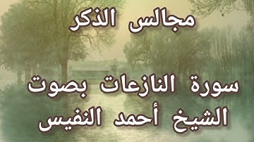 سورة النازعات بصوت الشيخ أحمد النفيس #القران_الكريم #راحة_نفسية #تلاوات_خاشعة #اكسبلور #لايك #ترند
