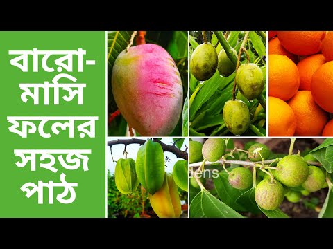 ভিডিও: ফলের গাছ সাদা করা