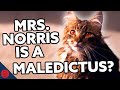 Mrs. Norris is a Maledictus SOLVED | Harry Potter Theory