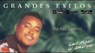 Video thumbnail of "Luis Miguel del Amargue - Por Eso Camino (Audio Oficial)"