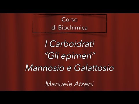 Gli epimeri (Mannosio e Galattosio) L4