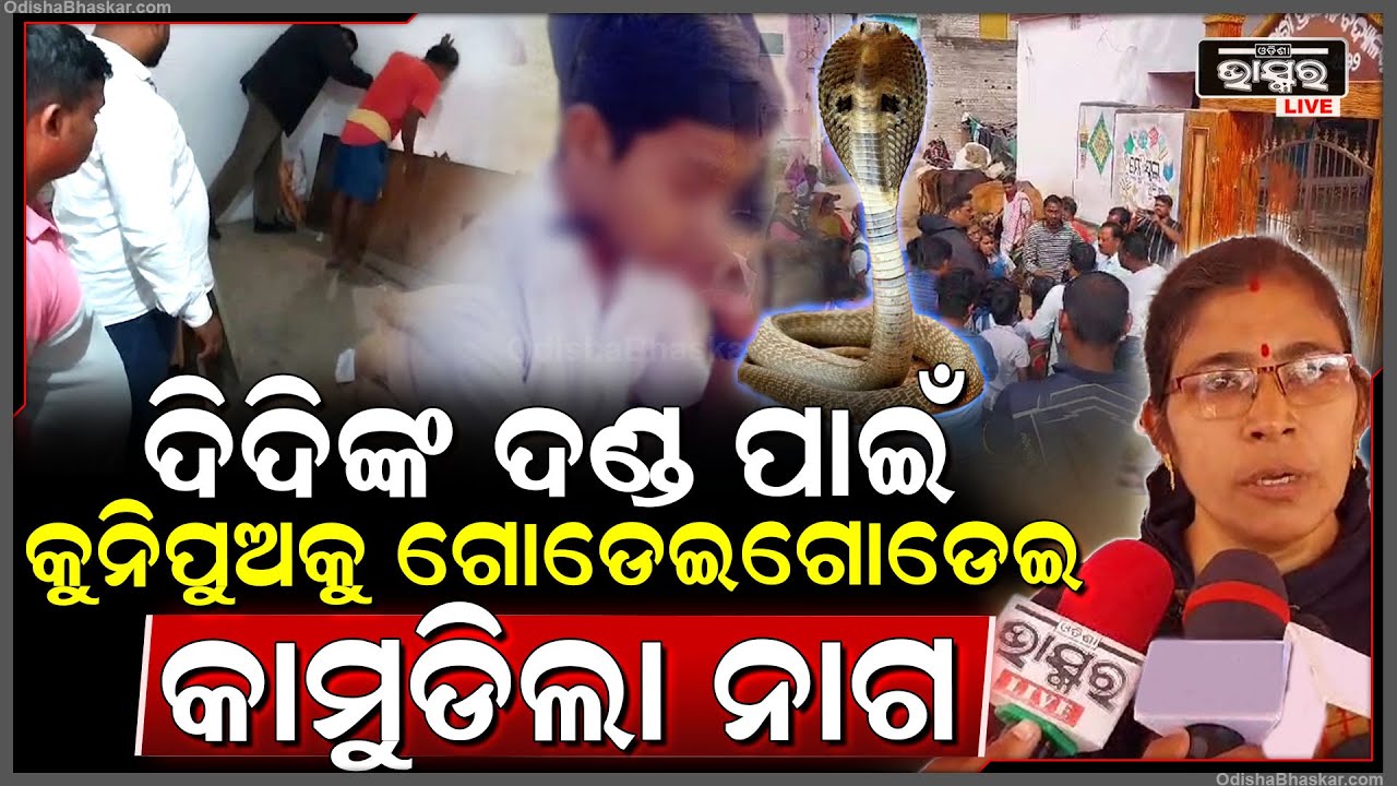 ଜୀବନ ମରଣ ସହ ସଂଗ୍ରାମ କରୁଛି ପୁଅ, ମହଙ୍ଗା ପଡିଲା ଦିଦିଙ୍କ ଦଣ୍ଡ, ଚାଉଳ ଘର ସଫା କରୁ କରୁ ପୁଅକୁ କାମୁଡ଼ିଲ ନାଗ