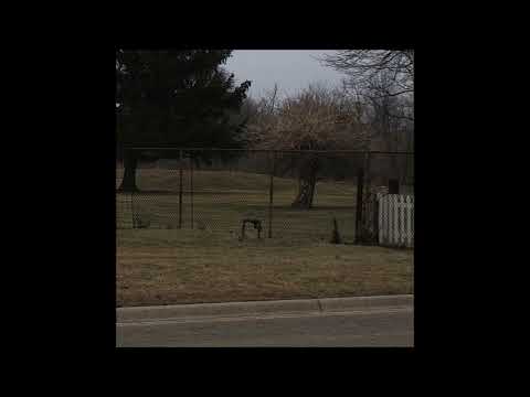 05. Bones & Dylan Ross - DancePetuniaDance (Produced by Greaf)