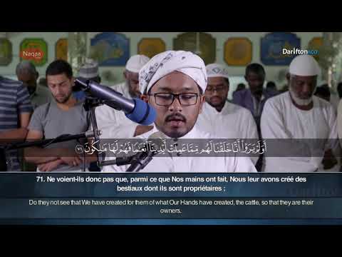 Sourate Ya Sin 55 83 Abdel Rahman Nour سورة يس عبدالرحمن نور