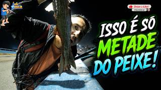 Por que ñ fiz mais vídeos c/ o atbalete ARX + pescaria noturna de fisga | SAIU TAINHA GIGANTE