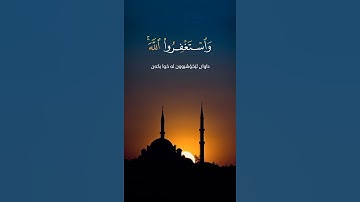 سورة البقرة | القارء عبدالرحمان مسعد | استغفر الله ان اللە غفور رحيم