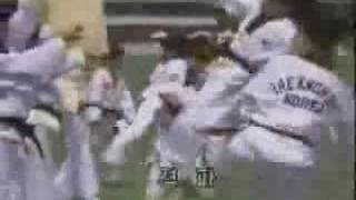 Taekwondo 