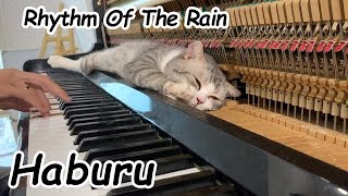 Rhythm Of The Rain - This song doesn't waste you 1 minute (Piano massage for meow)