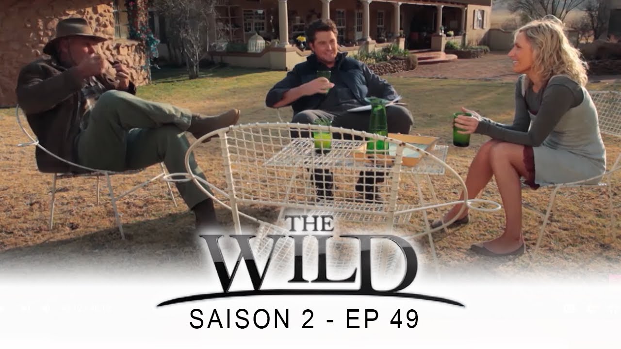 Dallas Saison 1 Episode 1 En Français Complet Youtube The Wild - Saison 2 - épisode 49 - Complet en français - HD 1080 - YouTube
