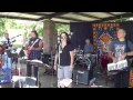 Landslide - Stevie Nicks - Neighborhood Picnic Band 2014