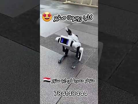 كلب روبوت ذكي تحكم بالتلفون واي فاي و بلوتوث ترند اكسبلور  تيك توك