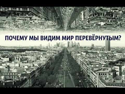 Видео: Почему сетчатка перевернута?