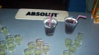 Kavos 2008!