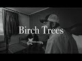 GHOST STORIES | from the road: Birch Trees