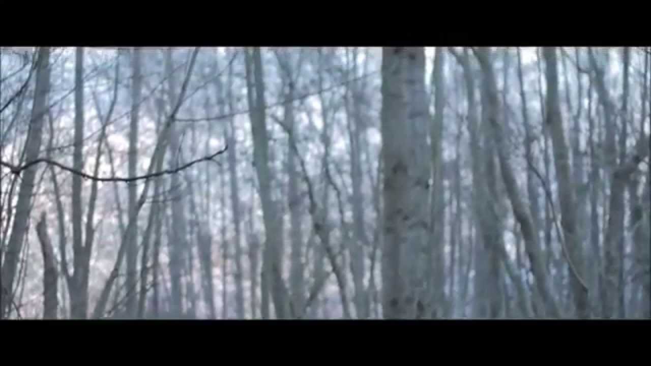 Onis - Beautiful time ft. Shamoozey  (Unofficial Music Video) | HD