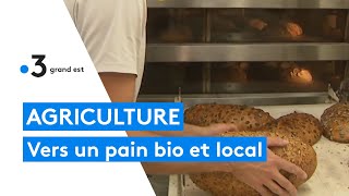 Agriculture : une alternative 100% locale et bio pour la production de pain