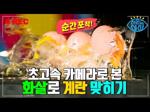 [눈 깜짝할 <strong>사이</strong>] / YTN <strong>사이언스</strong>